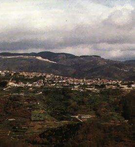 cicala