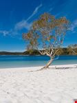 Lake McKenzie