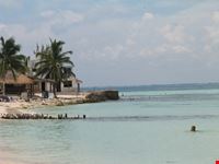 White Tropical Beach 