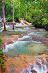 ocho rios dunn s river falls
