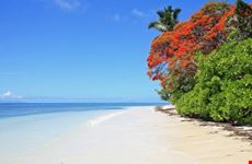 praslin tropical beach
