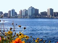 halifax city skyline