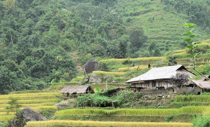 House on the hill