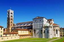 lucca old tower in lucca