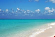 cozumel incredible sea