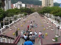 cali puente ortiz