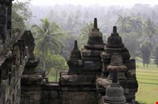 yogyakarta stupas of borobudur and palm trees
