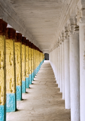 Rows of Pillars in the Temple