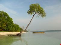 Tropical beach