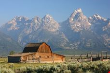 The Mormon Barn and the Teton Mountain Range in Grand Teton