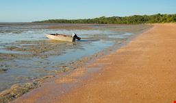Mudflats at West Alligator Head