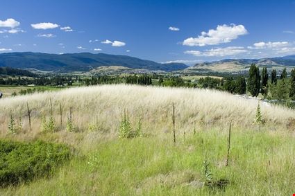 British Columbia Landscape British Columbia Landscape