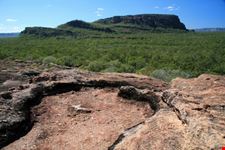 Green Panorama