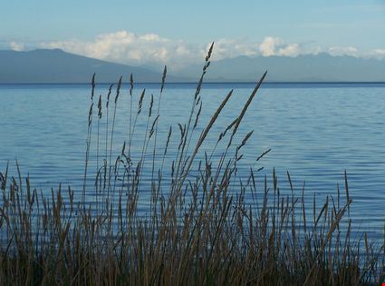  Nanaimo Jonathan Manullang - ©Shutterstock Jonathan Manullang