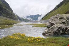 River Beas