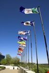 Canadian flags along the river valley