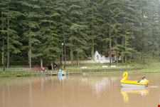 Dall Lake