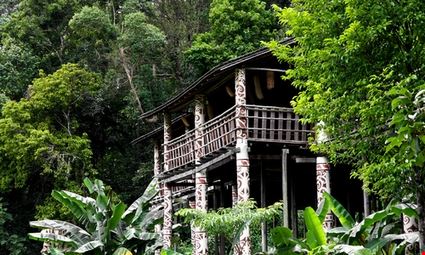 Longhouse in the Jungle Longhouse in the Jungle