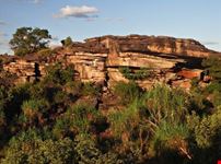Australian landscape