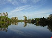 Lake with green trees