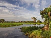 Wetlands