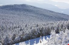 Winter in the mountains