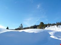 Winter landscape