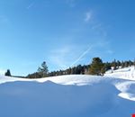 Winter landscape Winter landscape