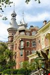 tampa university