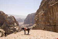 wadi musa valley of moses