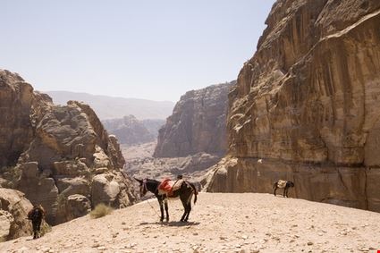 Wadi Musa