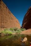 The Olgas