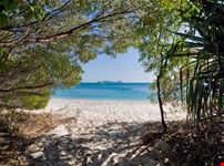 Beach framed by bushland
