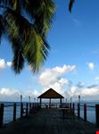 Paradise island