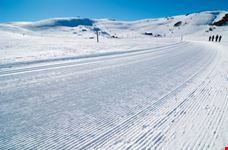Freshly Groomed Cross Country Ski Trail