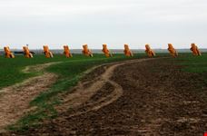 The famous cadillac ranch on route 66