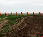 The famous cadillac ranch on route 66 The famous cadillac ranch on route 66