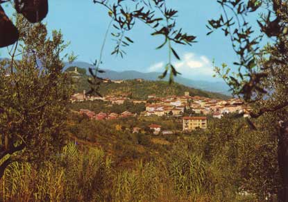 Scorcio panoramico del paese
