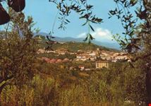 Scorcio panoramico del paese