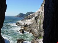 Sealion caves