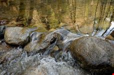 Creek