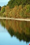 River reflections