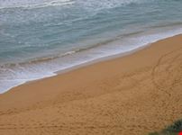Sand beach and sea
