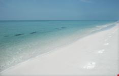destin white sand beach