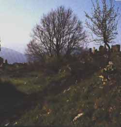 cerenzia
