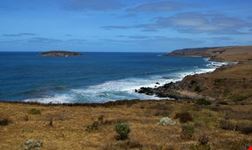 Coastline