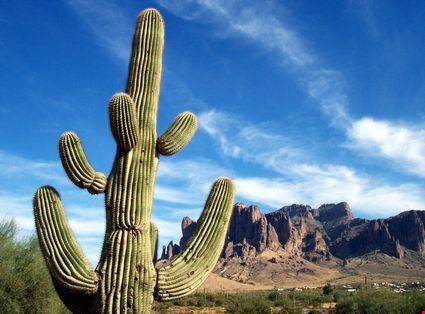  Tucson Steve Maehl  - ©Shutterstock Steve Maehl 