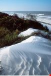 panama city beach sand dunes