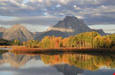 Sunrise on Mt. Moran and trees