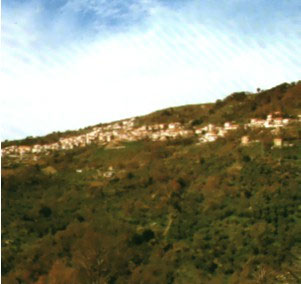 falerna marina